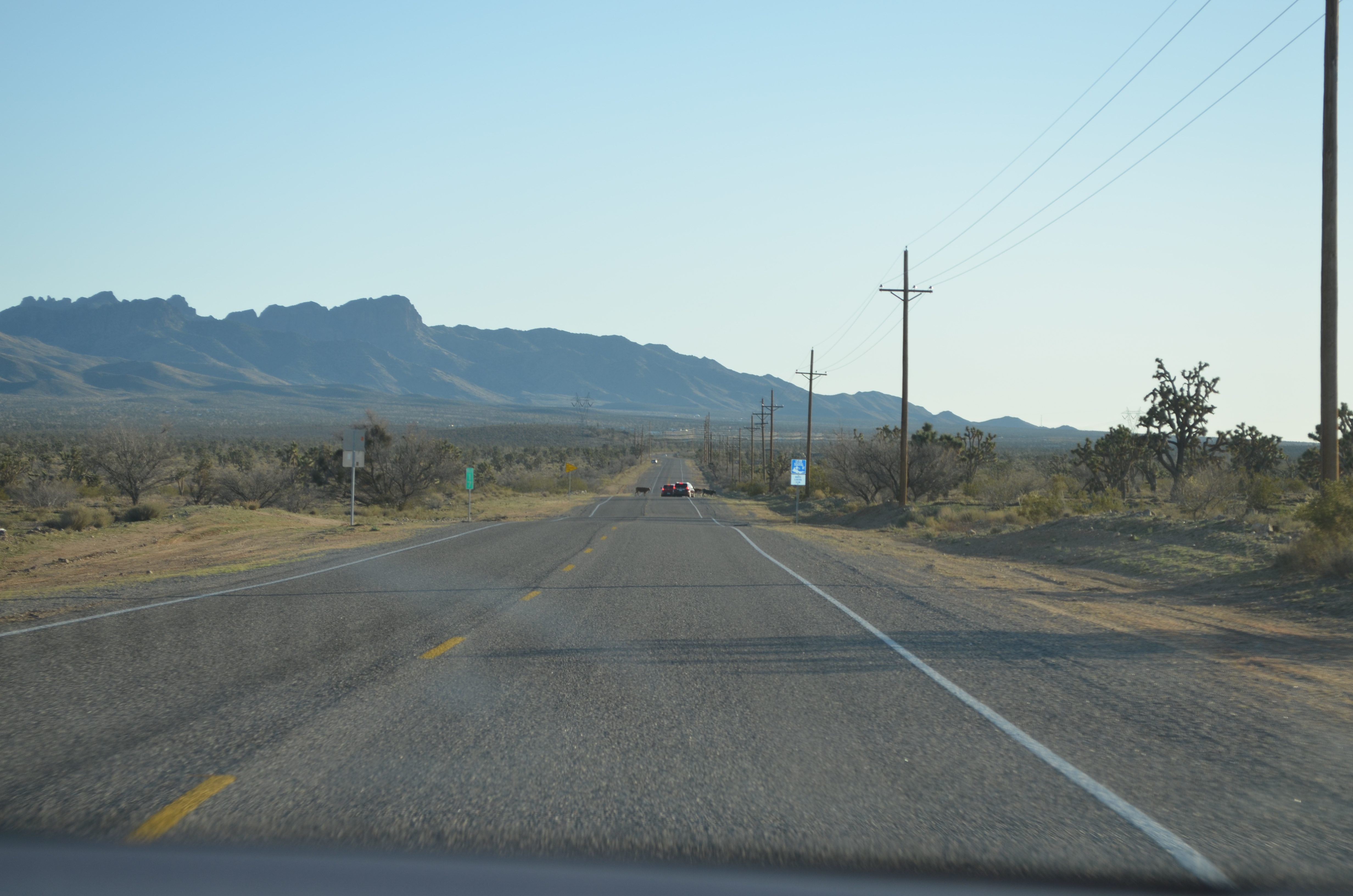 ./2016/04 - Las Vegas/Grand Canyon Skywalk/DSC_0415.JPG